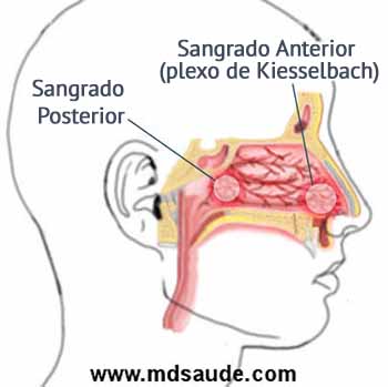 La simbología del sangrado nasal: señal del cuerpo y alma