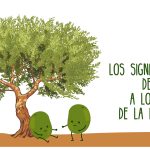 El Olivo: Significado Espiritual y Simbología en Diversas Culturas