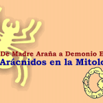 El significado espiritual de la araña en la cultura ancestral.