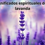 El Significado Espiritual del Aroma de Lavanda: Conexión y Serenidad