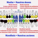 El simbolismo espiritual de los dientes: una ventana al alma humana.